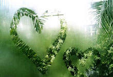 鹤岗首台SUV出租车司机亲述：驾驶体验与市场反响